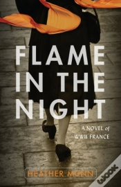 Capa do artigo Flame In The Night