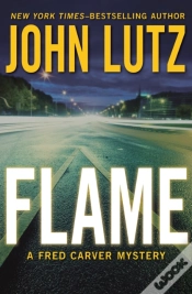 Capa do artigo Flame