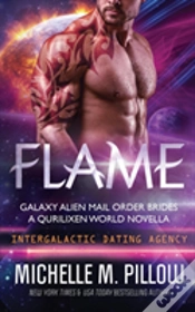 Capa do artigo Flame