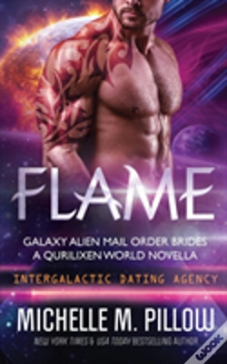 Capa do artigo Flame