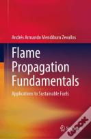 Flame Propagation Fundamentals