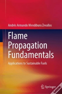 Capa do artigo Flame Propagation Fundamentals