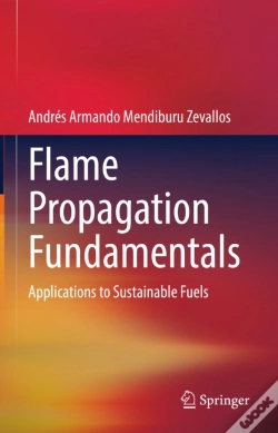 Capa do artigo Flame Propagation Fundamentals