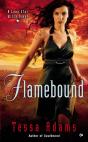 Flamebound - Preview