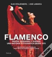 Capa do artigo Flamenco