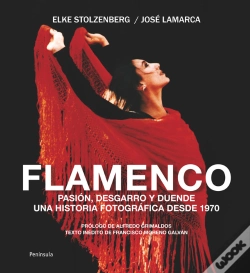 Capa do artigo Flamenco