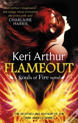 Capa do artigo Flameout