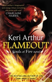 Capa do artigo Flameout