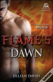 Capa do artigo Flame