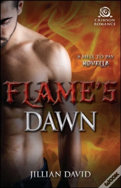 Capa do artigo Flame'S Dawn