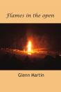 Flames In The Open - Preview