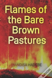 Capa do artigo Flames Of The Bare Brown Pastures