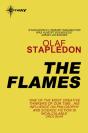 Flames - Preview