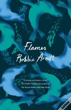 Capa do artigo Flames