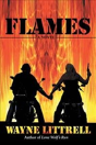 Flames - Preview