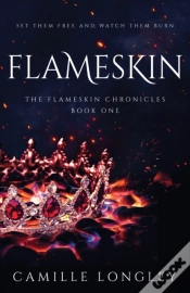 Capa do artigo Flameskin