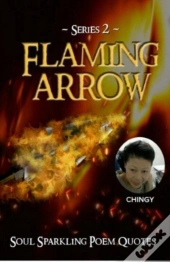 Flaming Arrow  Series 2