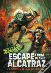 Capa do artigo Flaming Fields Of Death - Express Edition