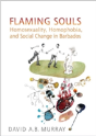 Flaming Souls - Preview