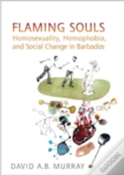 Capa do artigo Flaming Souls