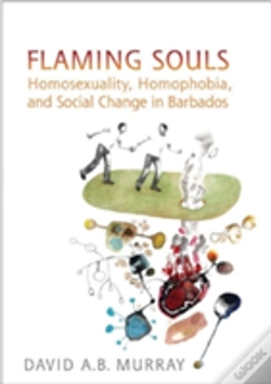 Capa do artigo Flaming Souls