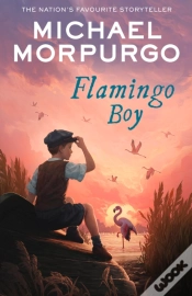 Capa do artigo Flamingo Boy