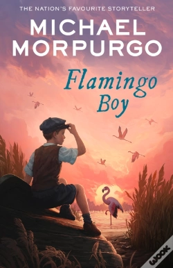 Capa do artigo Flamingo Boy