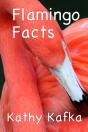 Flamingo Facts - Preview