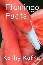Flamingo Facts