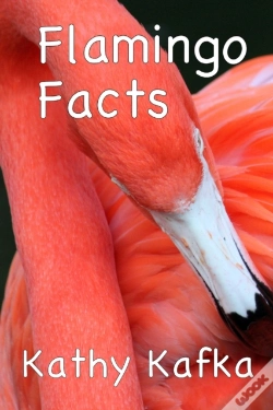 Capa do artigo Flamingo Facts