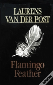 Capa do artigo Flamingo Feather