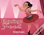 Capa do artigo Flamingo Feet