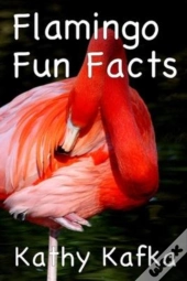 Flamingo Fun Facts
