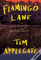 Capa do artigo Flamingo Lane