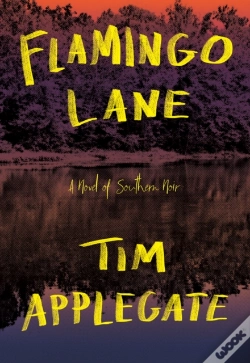 Capa do artigo Flamingo Lane