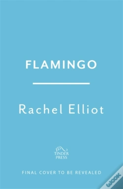 Capa do artigo Flamingo