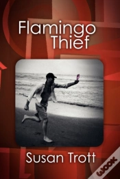 Capa do artigo Flamingo Thief