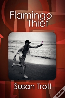 Capa do artigo Flamingo Thief