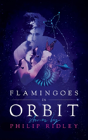 Flamingoes In Orbit - Preview