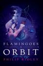 Flamingoes In Orbit - Preview