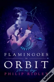 Capa do artigo Flamingoes In Orbit