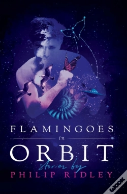 Capa do artigo Flamingoes In Orbit