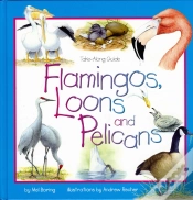 Capa do artigo Flamingos, Loons & Pelicans