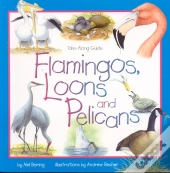 Flamingos, Loons & Pelicans