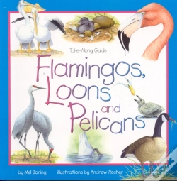 Capa do artigo Flamingos, Loons & Pelicans