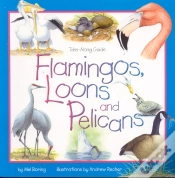 Capa do artigo Flamingos, Loons & Pelicans
