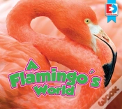Capa do artigo Flamingo