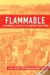 Capa do artigo Flammable