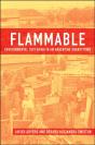 Flammable - Preview