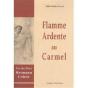 Flamme Ardente Au Carmel ; Vie Du Père Hermann Cohen - Preview